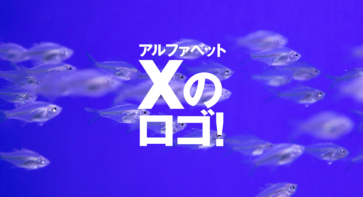 Xをモチーフにしたロゴ アルファベット編 デザイン ロゴマーク 作成 制作なら ロゴだく Xをモチーフにしたロゴ アルファベット編 デザイン ロゴマーク 作成 制作なら ロゴだく